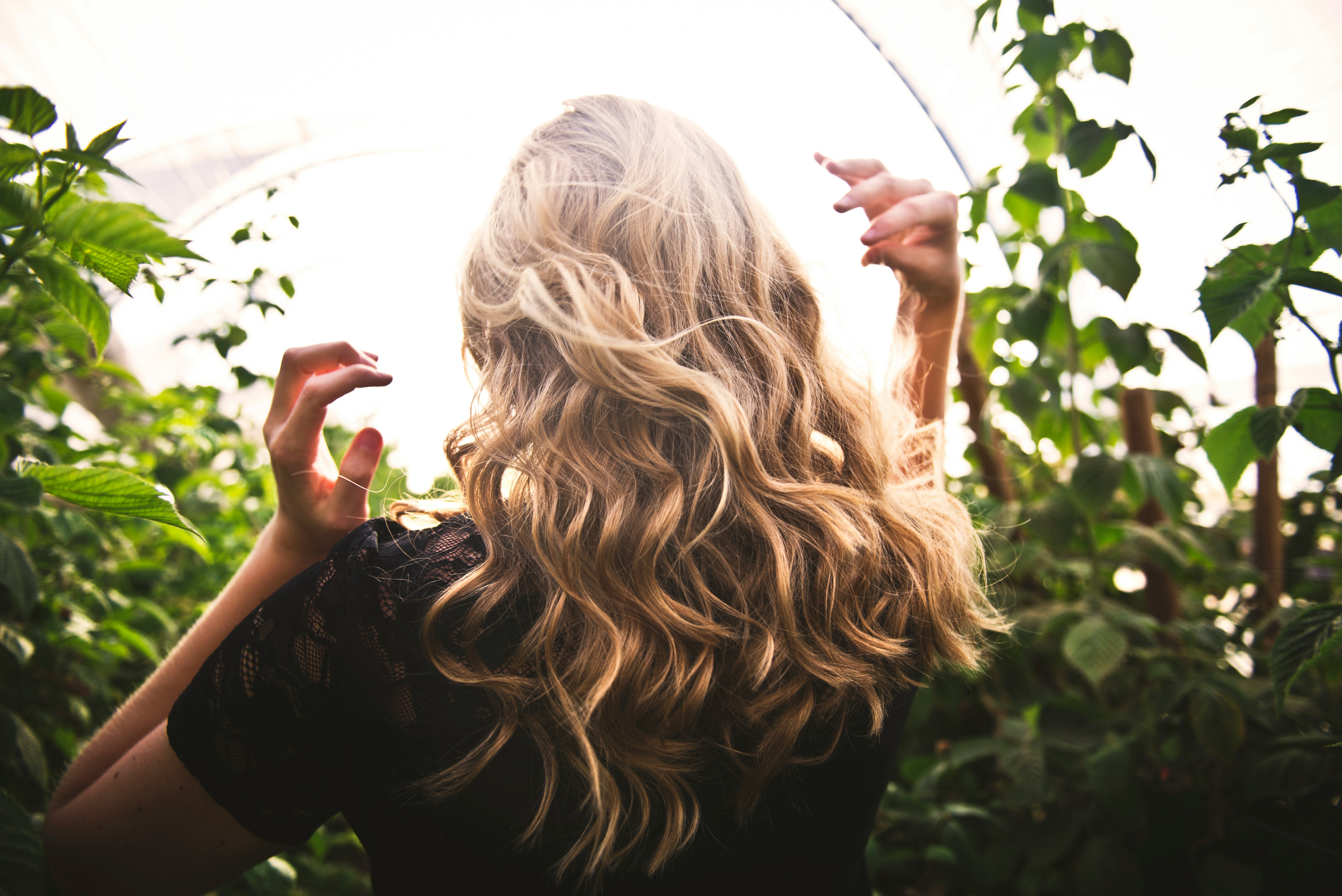 Balayage vs Highlights